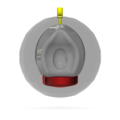 Alpha Crux